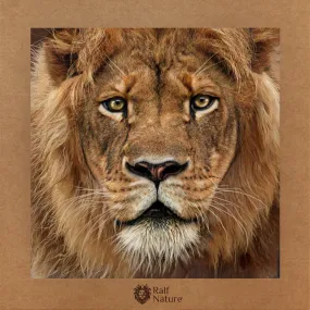 Lion Front T-Shirt