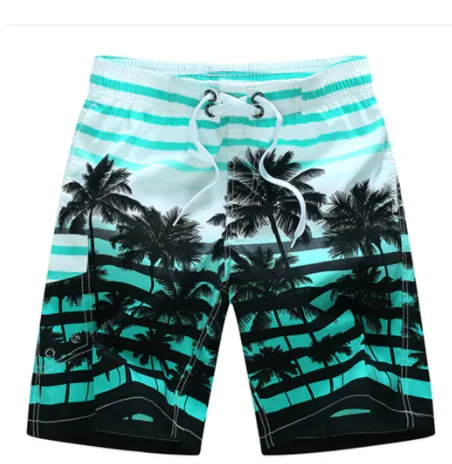 Men Boardshorts/Swimwear