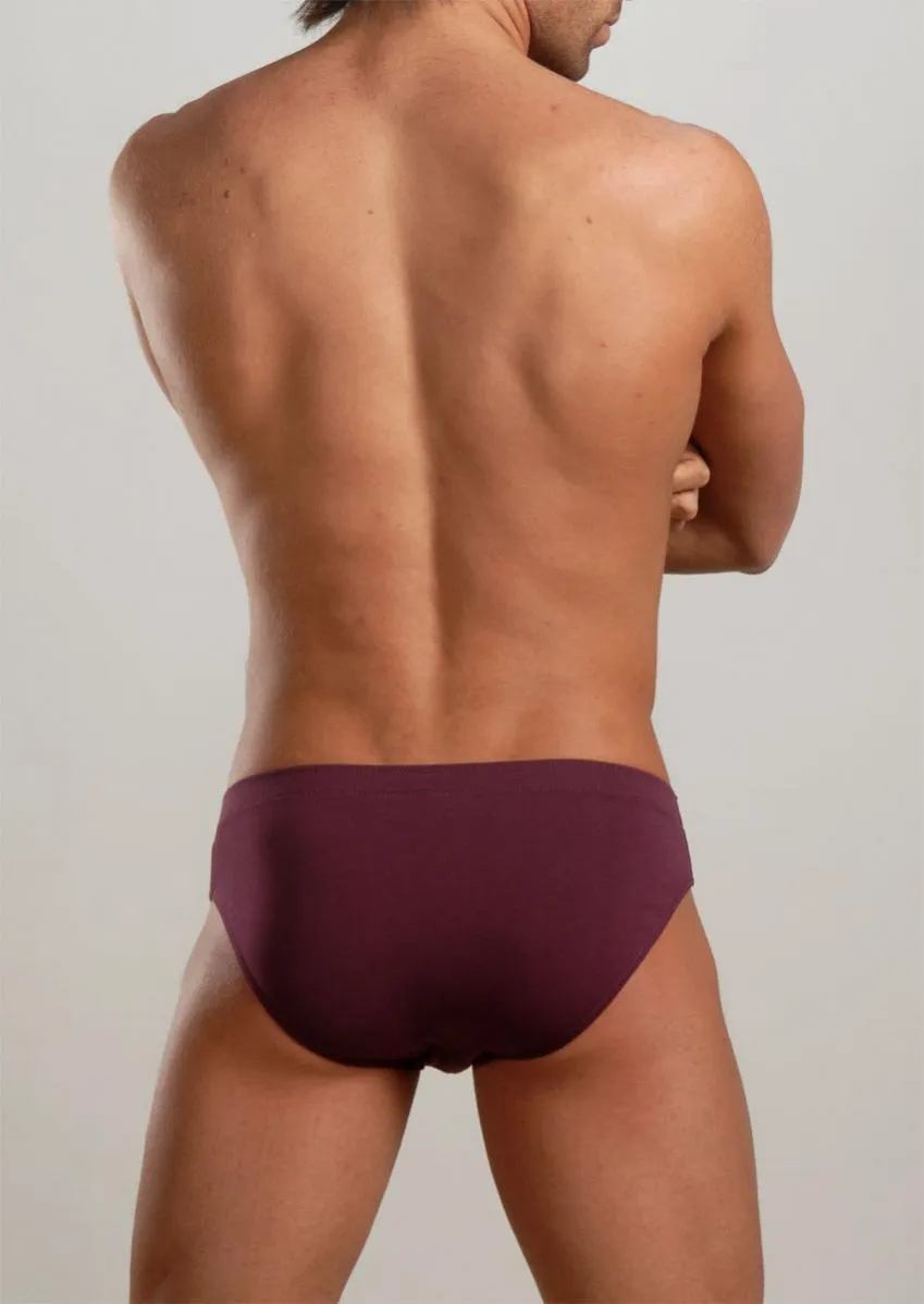 Men Briefs b21