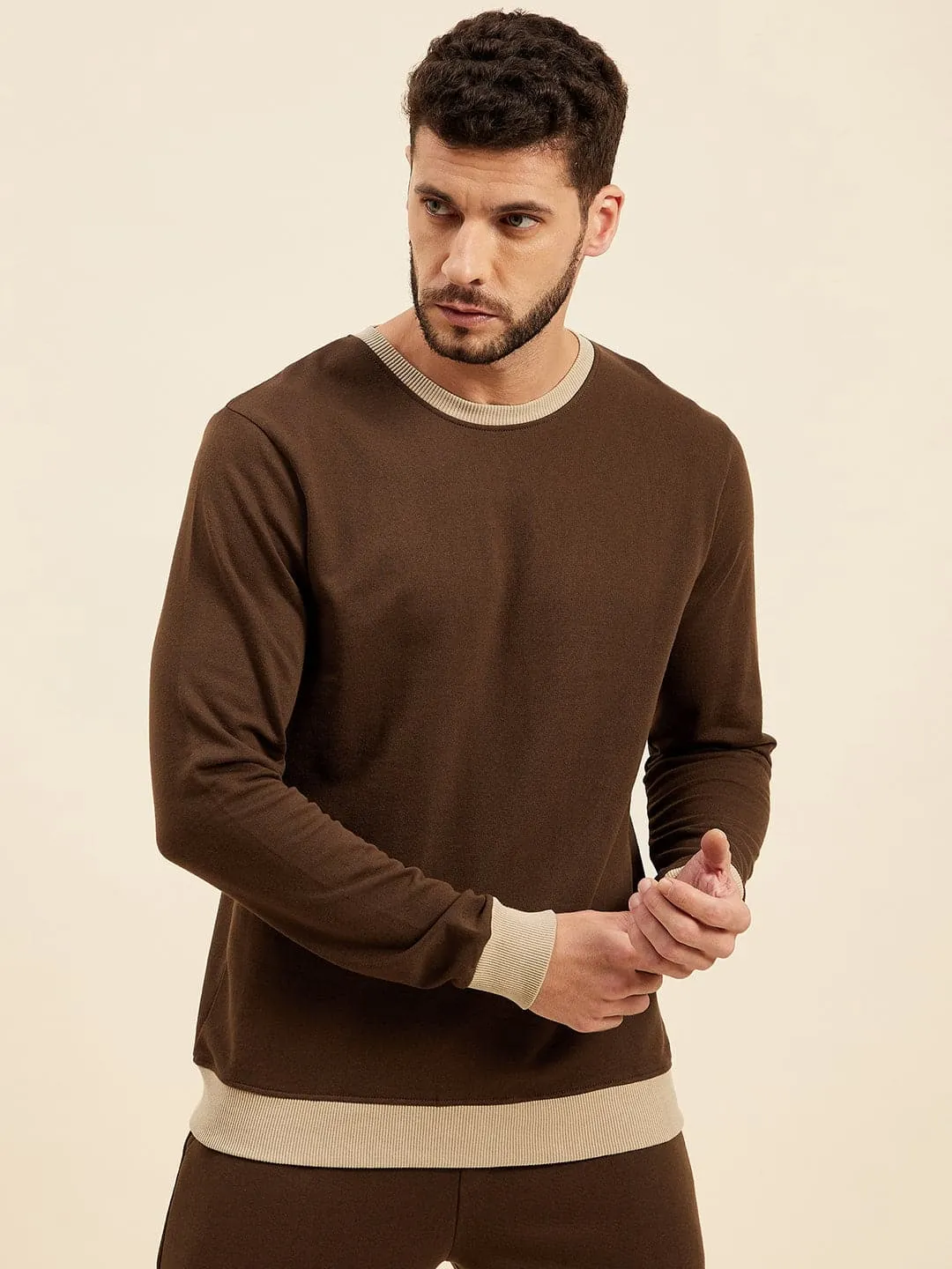 Men Brown Terry Sweatshirt