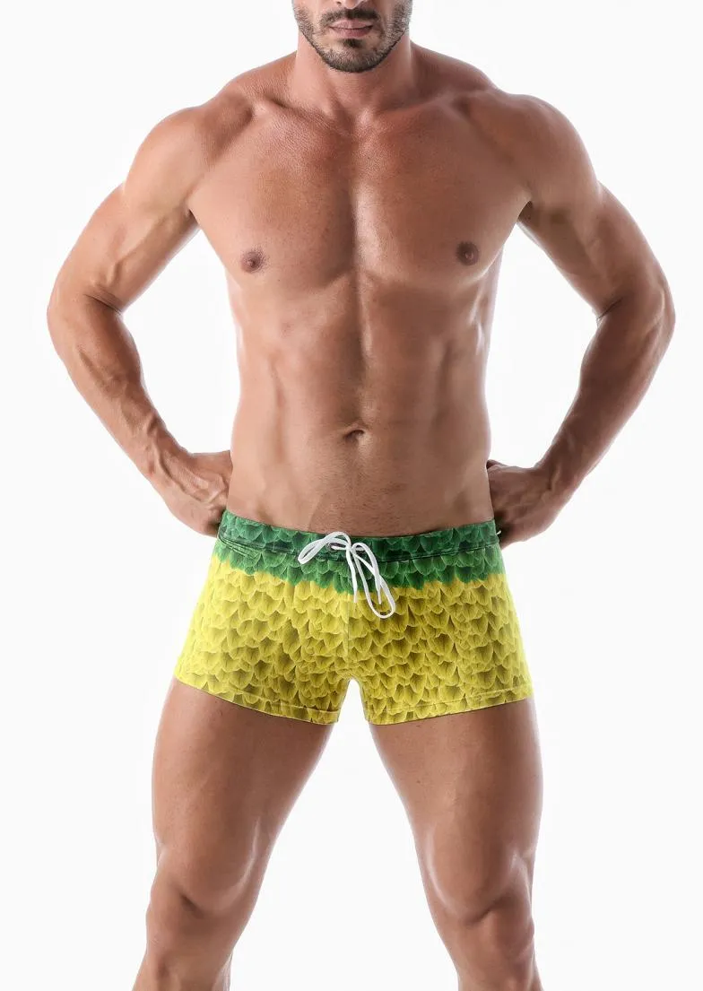 Men swimming trunks 2027b1