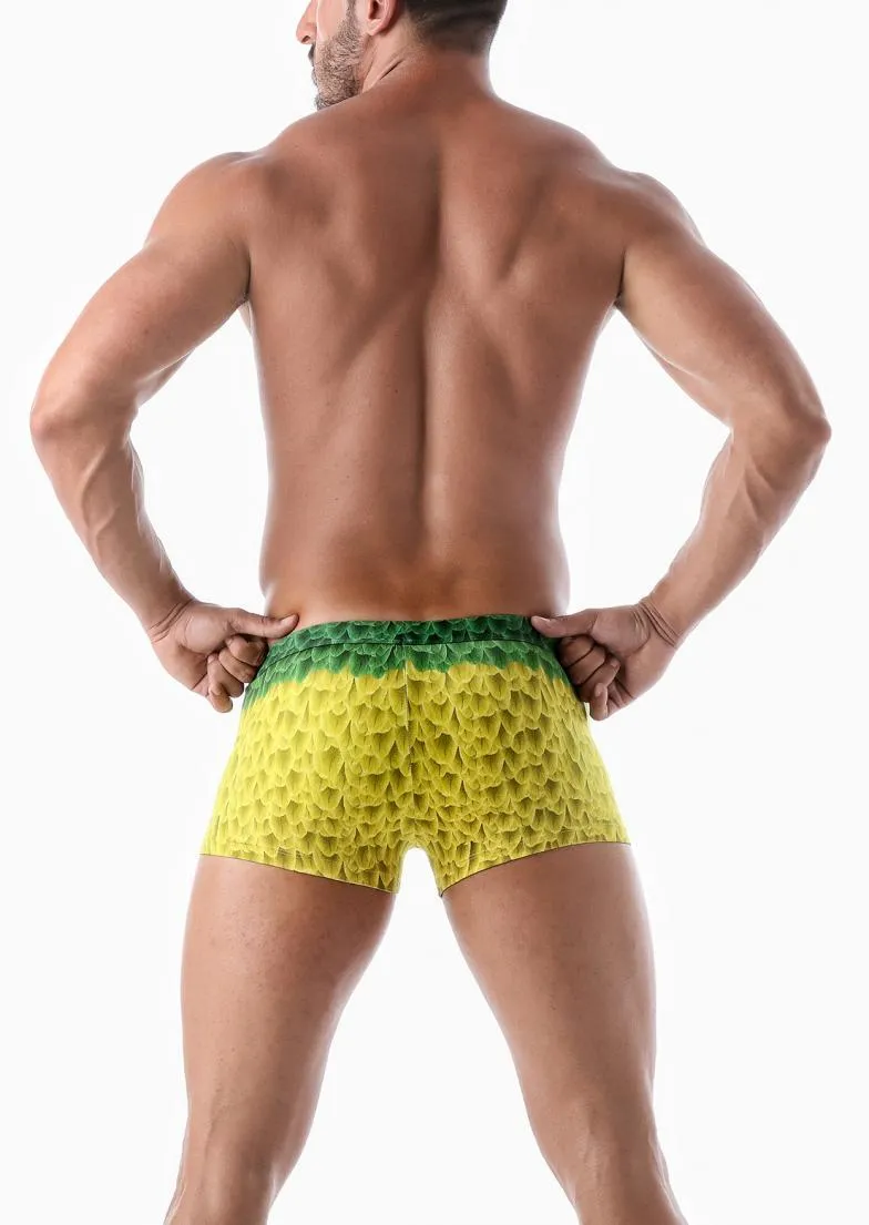 Men swimming trunks 2027b1