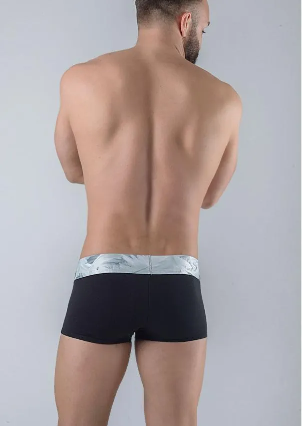 Men Trunks 1764b2