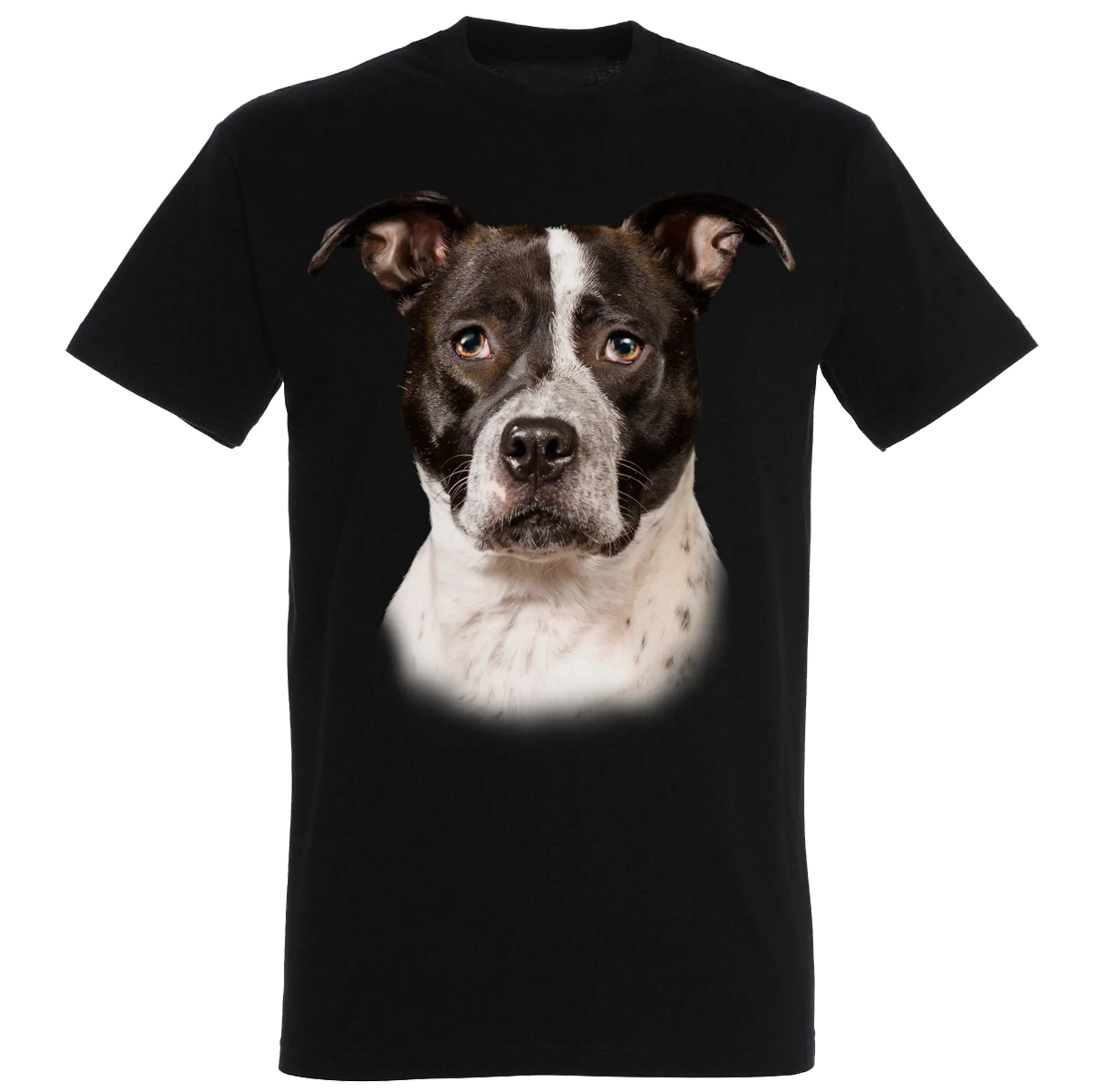 Pitbull T-Shirt