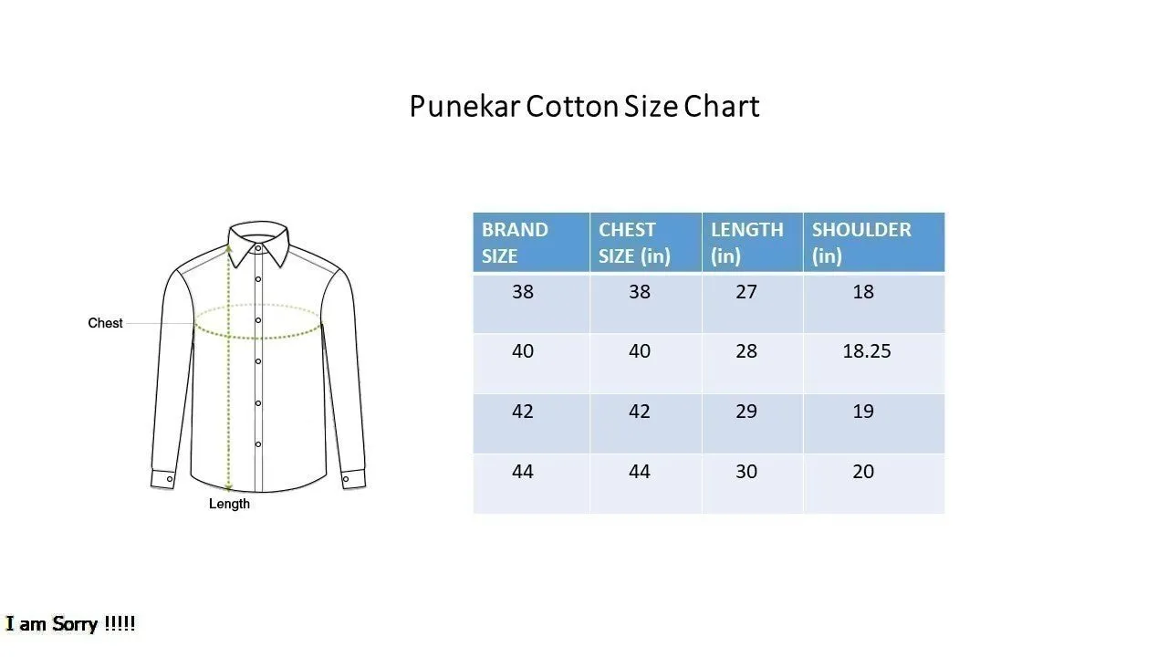 Punekar Cotton Light Green Color Cotton Linen Formal Shirt for Men's.